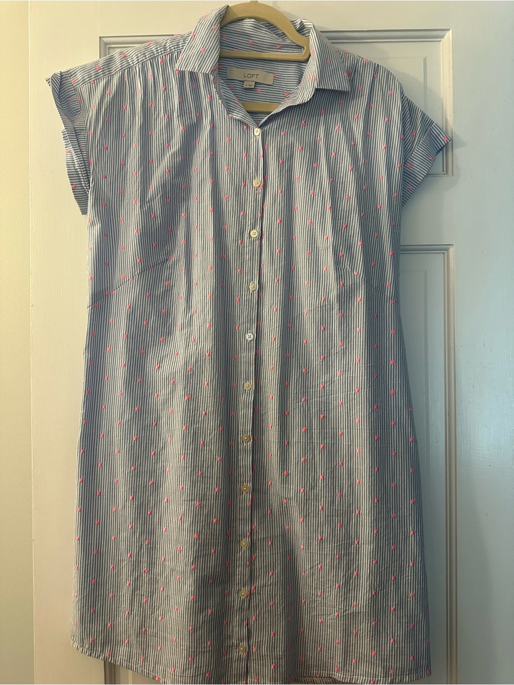 LOFT Blue and White Striped Shirt Dress with Pink Dot Embroidery